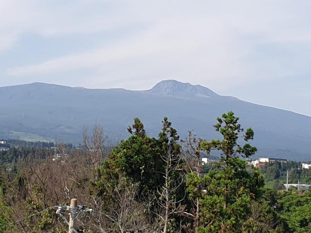 Jeju Soroan Pension 西归浦市 外观 照片